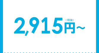 2,915円（税抜）～